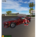 Cool cats team