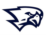 Falcons Football Club