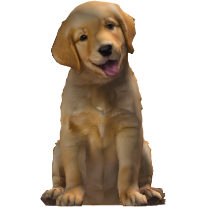 ✅ Dog thumbnail