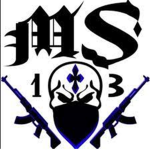 sesar