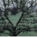 Cupidity"
