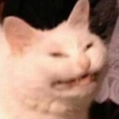 angry cat Roblox decal