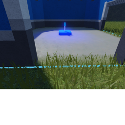 Capture the flag