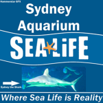Sydney Aquarium
