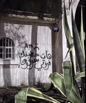 الشيخ تايف