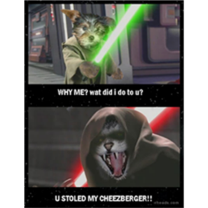Star Wars Cat VS Dog Roblox decal