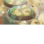 *. ducky's dreamland .*