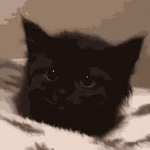 Testtttttttttttttttttttttttttttttttttt