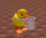 The duckyz group!