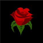 Roses ツ