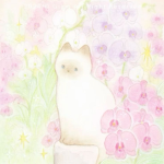 ୨୧ étoile ୨୧