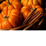 #pumpkin squad!