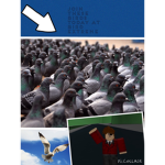 Bird Extreme