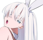 'bunni !