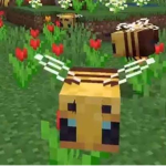 Vainilla <3