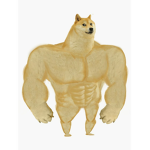 The Doge Imperial Guard.