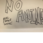The Anti Anime Cult