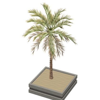 PBR Palm Tree with Plant Pot
