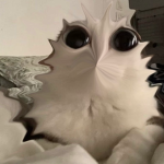 友達最高！
