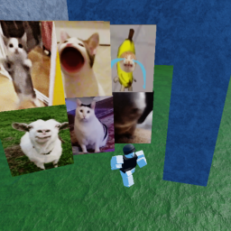 Escape Cat Memes!