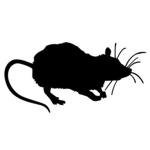 Rodents' MAPS |ANIMATION MOVIES|