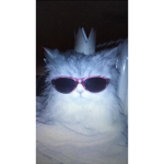 Dinonuggetsgang