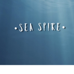 •Sea spire•
