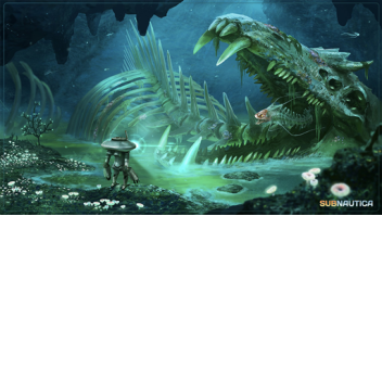 KubaT11's Place Number: 9