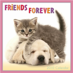 The Big Friends