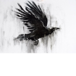 •The Crow Family•