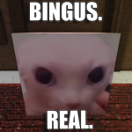 Raise a Bingus icon