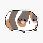 Demon slayer Is Guinea pig