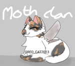 |+|Mothclan|+|