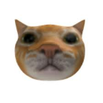 catterson