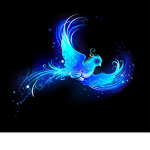 Aqua_Firebird