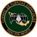CFE / SPECIAL FORCES CORPS