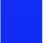 subsist