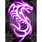 The Purple Dragons Clan