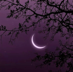 The Moon's Starry Night!