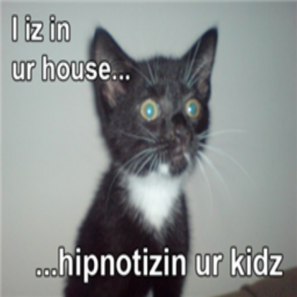 funny cute kitty Roblox decal