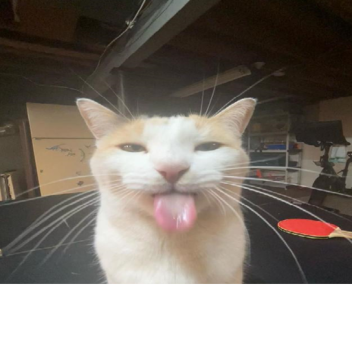 lonnie donate rn pls