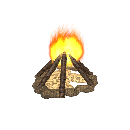 Camp Fire