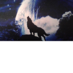 The Wolves Rule this Server