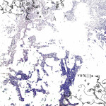 talking about your red shorts,