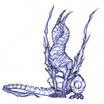 Dragon Experiences