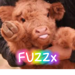 FUZZx