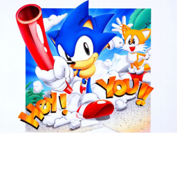 Sonic Run