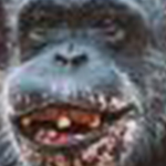 Monkey Gamer FanClub