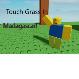 Touch Grass In Madagascar