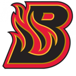 Blazing Inc.